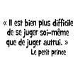Wall decals with quotes - Wall decal Le Petit Prince - ambiance-sticker.com